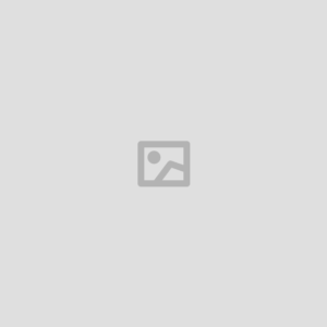 WX254 Cordless Screwdriver